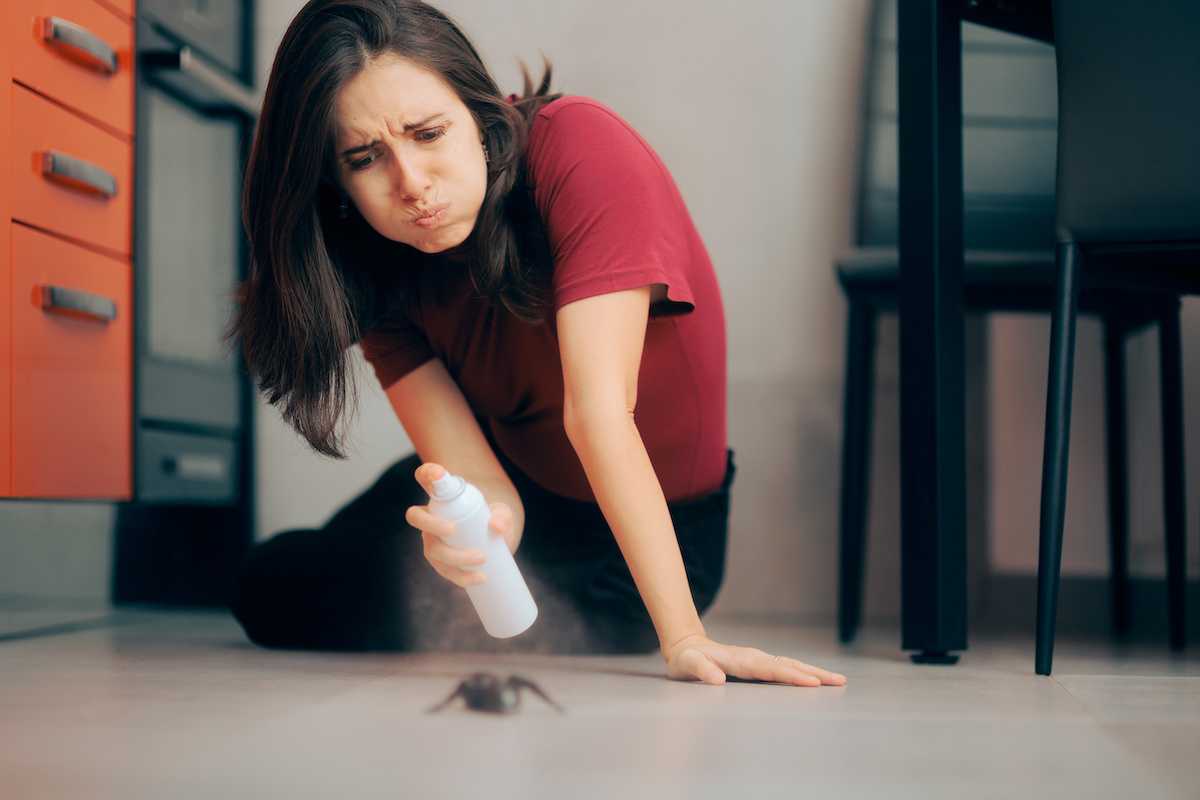 Clearwater, FL Homeowners Essential Pest Control Tips to Keep Your