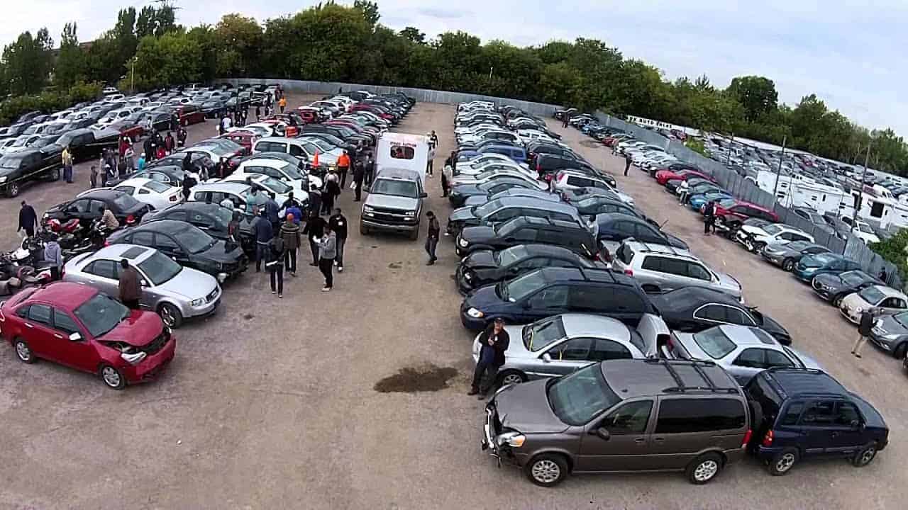 Should You Buy Vehicles from Government Auctions? Driven Wheels