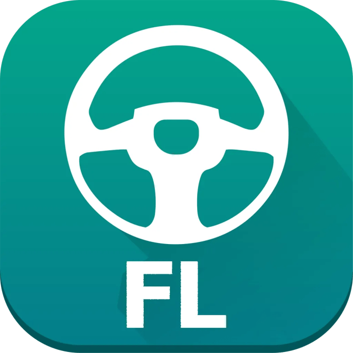 Florida TLSAE/DATA Course - Drivers Ed Hub Florida TLSAE/DATA Course - Drivers Ed Hub