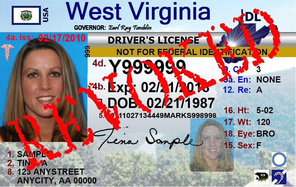 Virginia driver's license dd meaning irelandgsa
