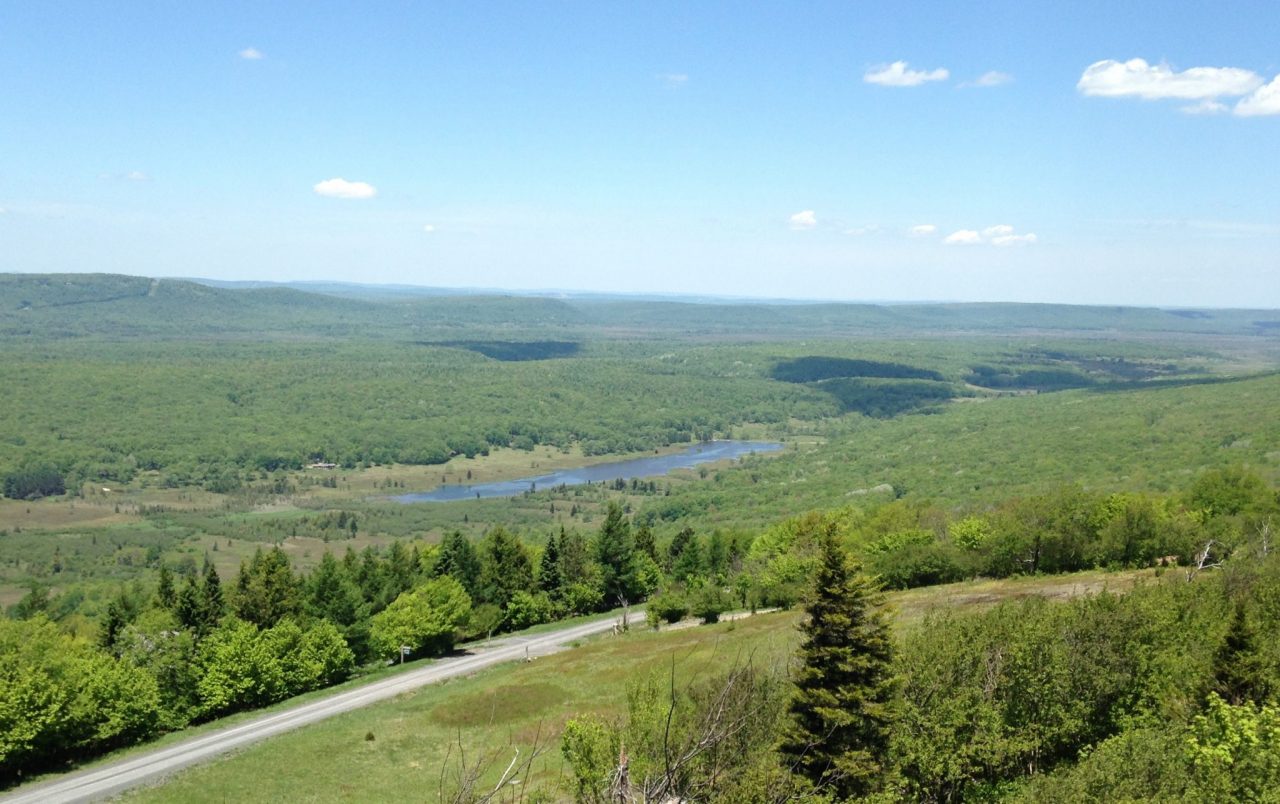 Canaan Valley National Wildlife Refuge Drive The Nation