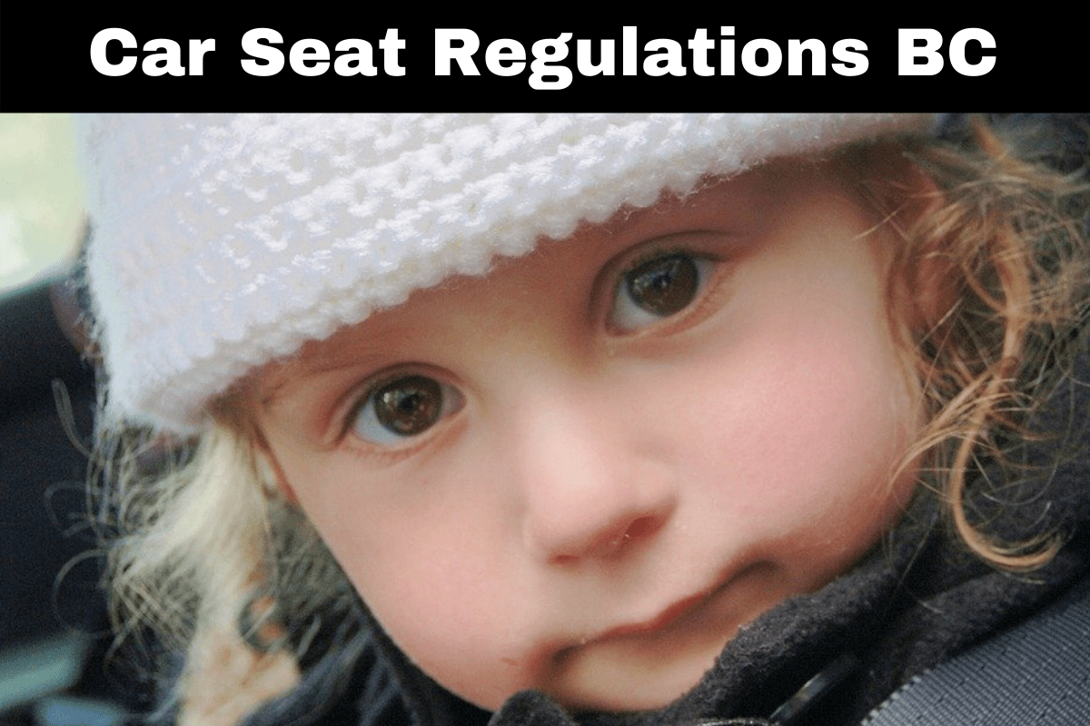 Car Seat Regulations BC BC Driving Blog
