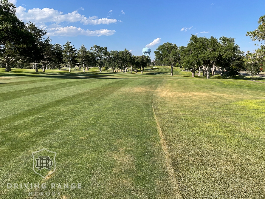 1920s MacGregor GoSum Irons Driving Range Heroes