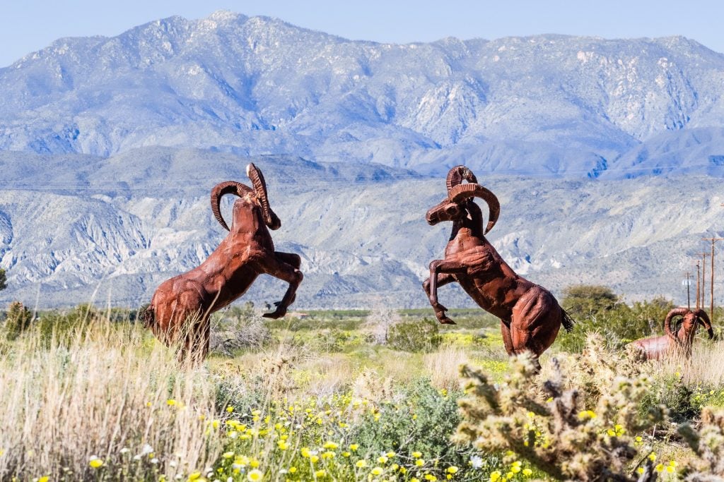 What Are the Beasts of Borrego Springs? Drivin' & Vibin'