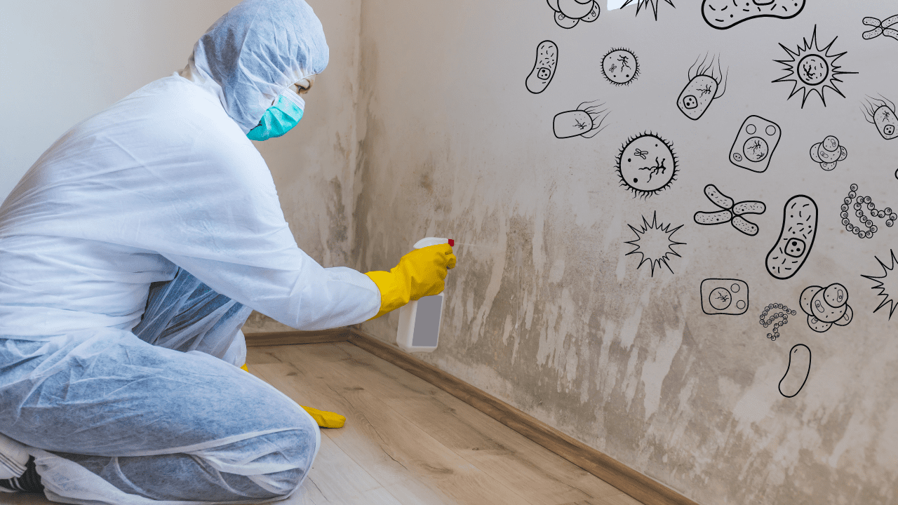 Does Vinegar Eliminate Mold? Drivin' & Vibin'