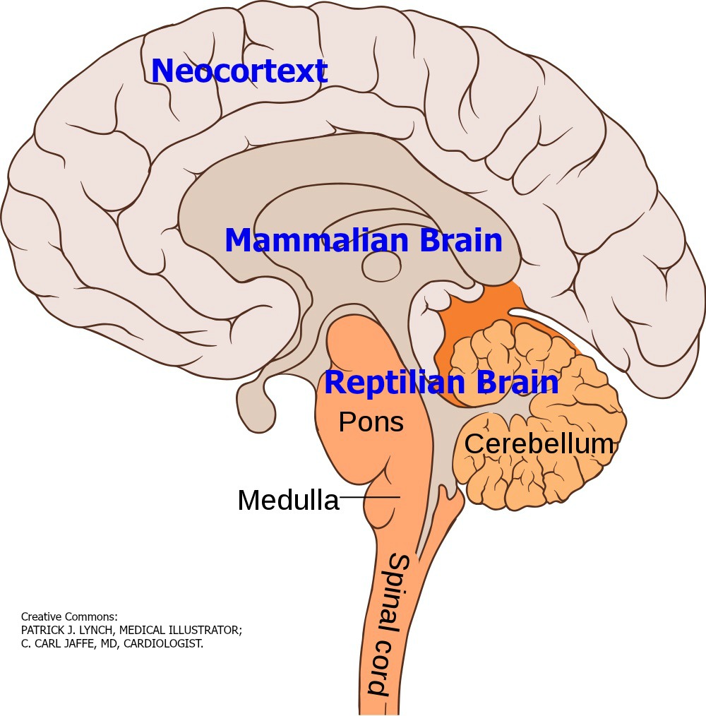 The Reality of Stress At Work And In Life