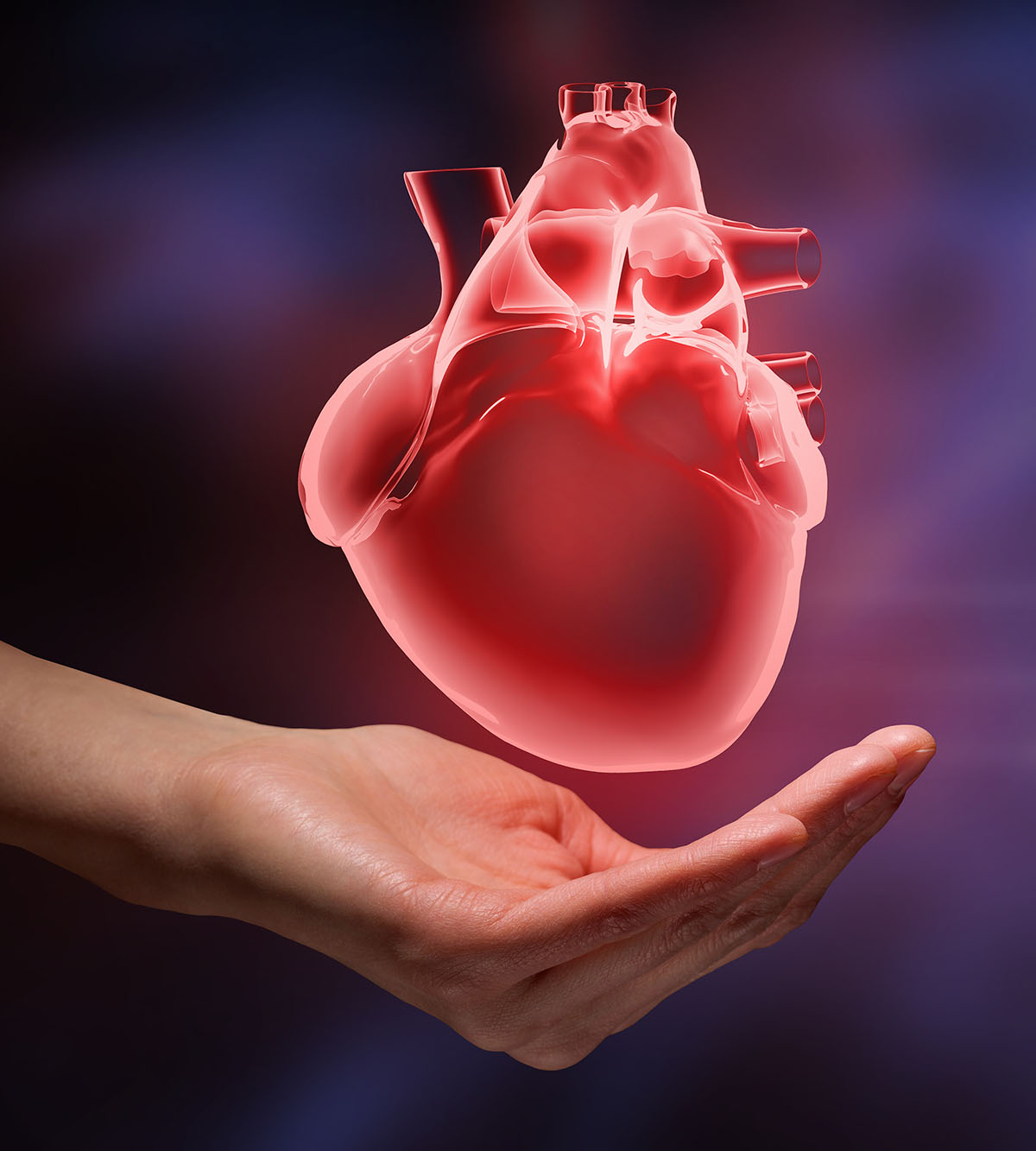 Dr Janssen Cardiologist Perth