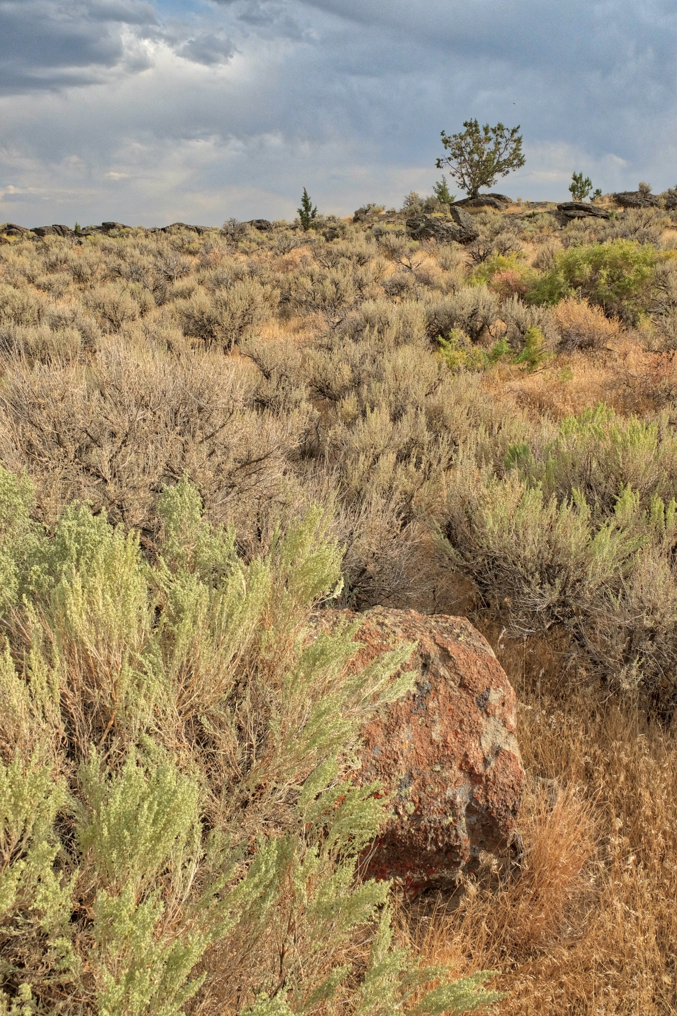 Road Trip USA Steens Mountain, Oregon Dr. Jeff Harper Photo Blog