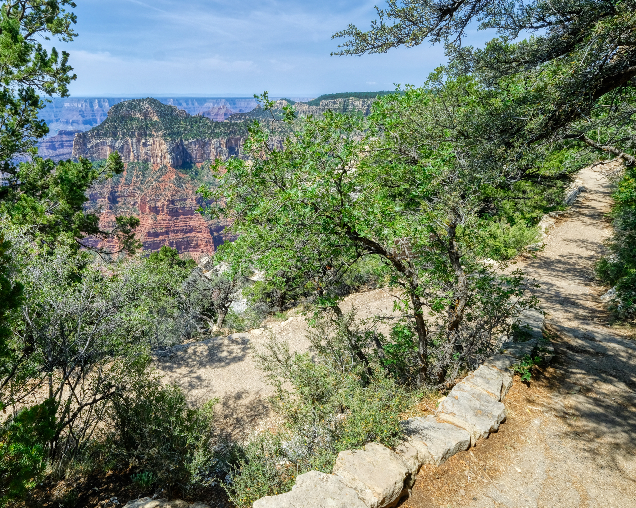 USA Road Trip Grand Canyon (North Rim) Dr. Jeff Harper Photo Blog Dr. Jeff Harper, Travel