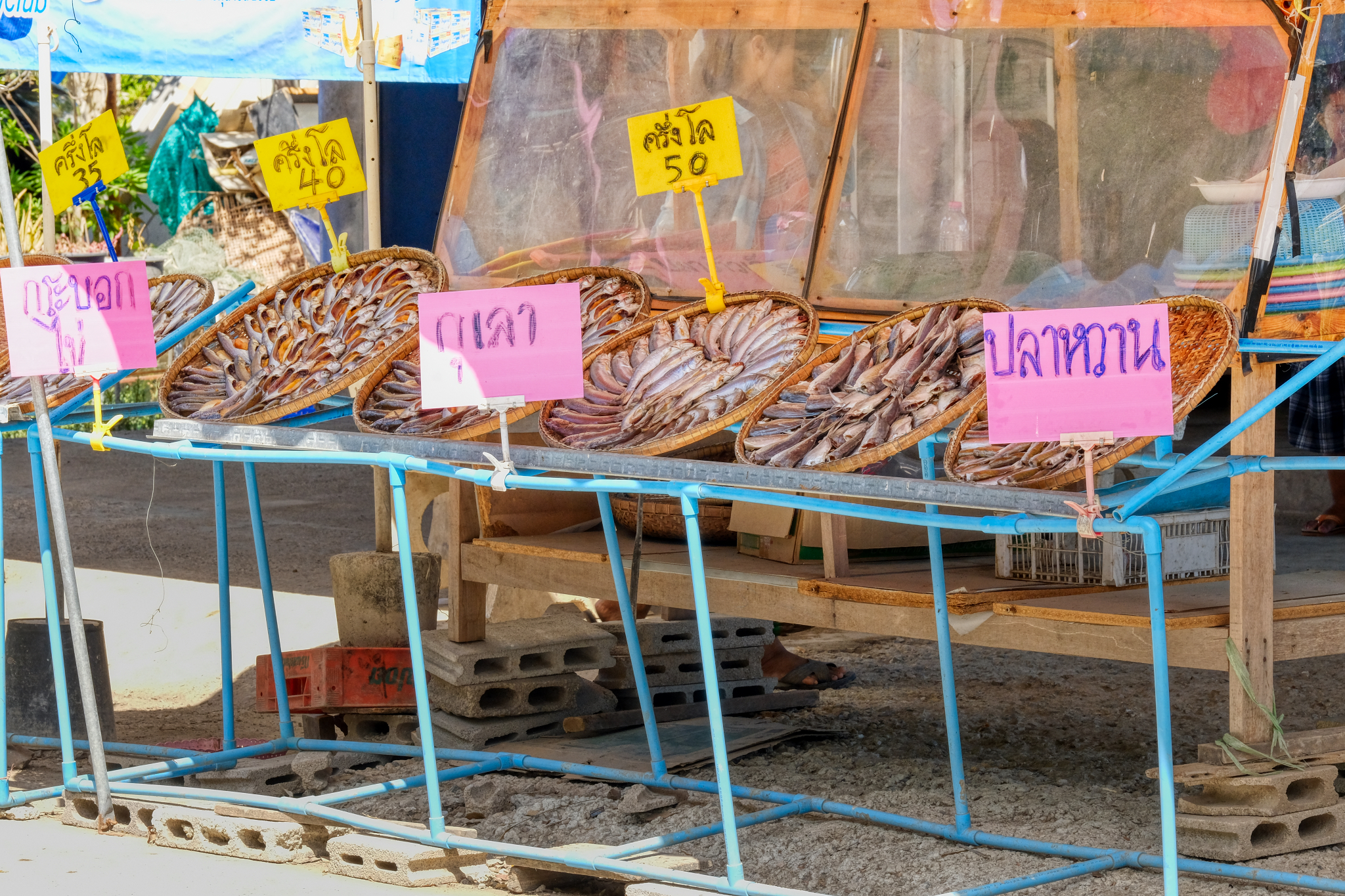 Samut Songkhran & Amphawa Village A Good Day Out and About in