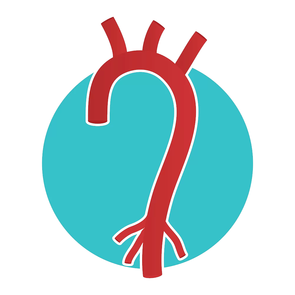 Contact Dr. Jill O'Donnell Vascular & Endovascular Surgeon