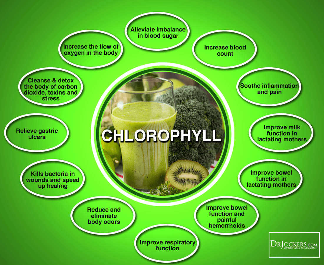 The Power of Green Foods