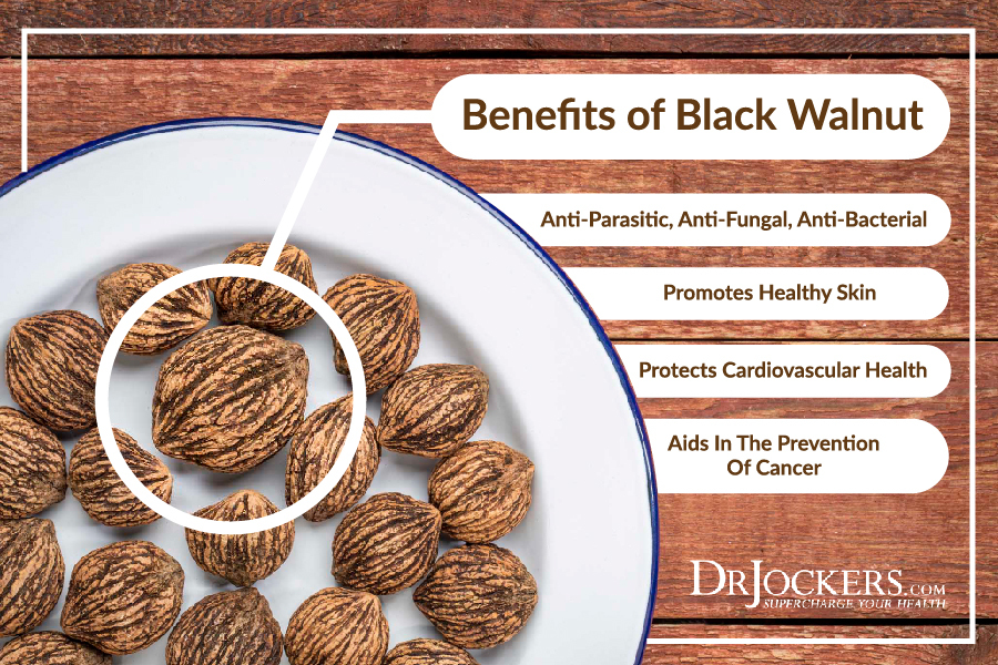 12 Herbs That Kill Parasites Naturally