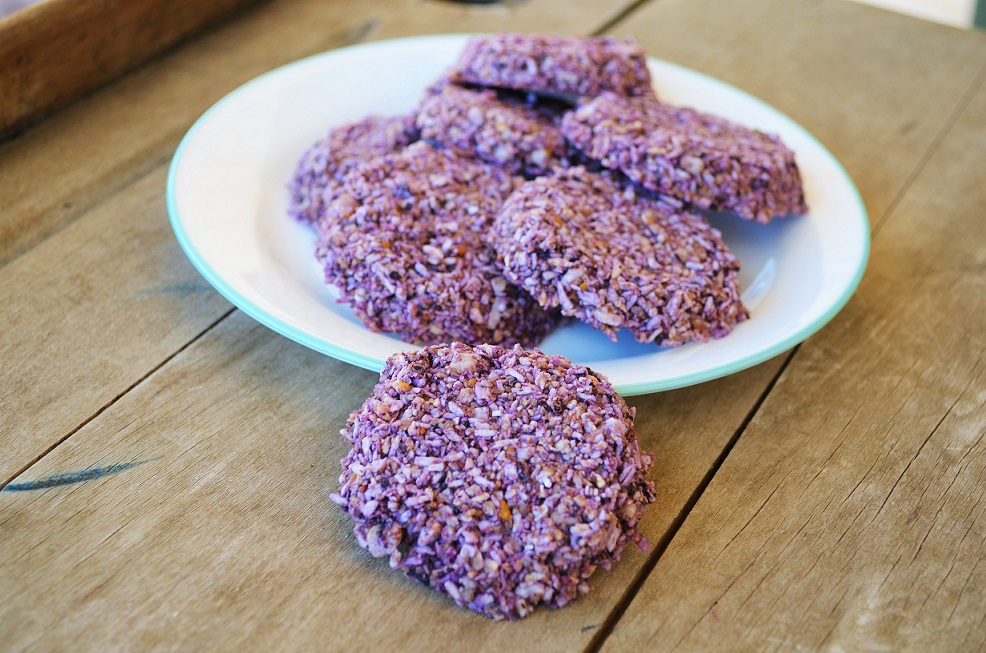 Blueberry Coconut Flake Cookies