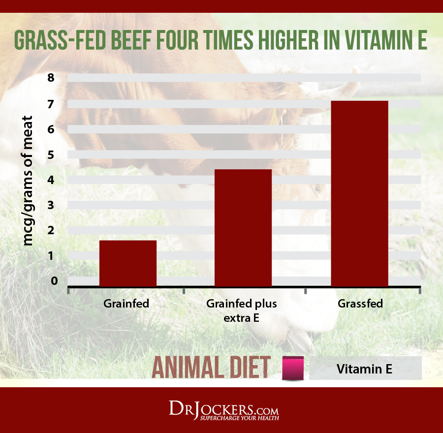 Grass Fed Beef Is It Superior to Poultry?