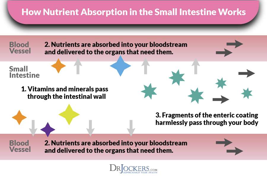 An Evidence Based Look at Magnesium Stearate