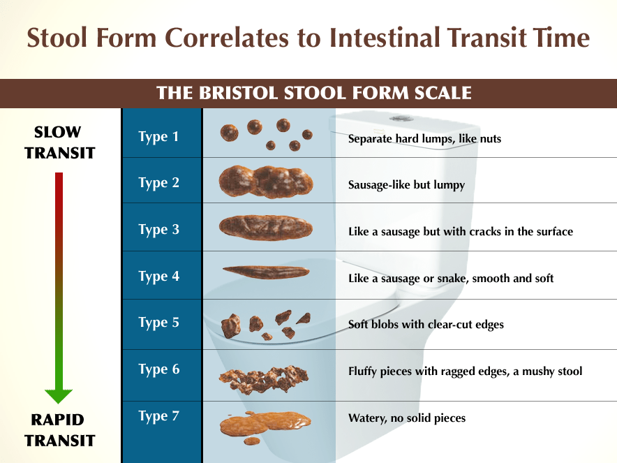 16 Ways to Achieve a Healthy Poop!