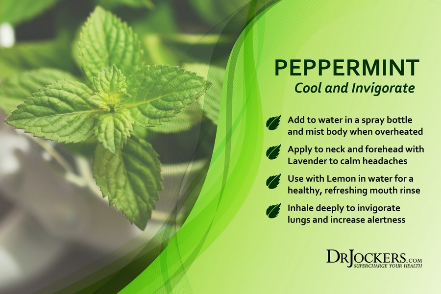 How To Use Essential Oils For Brain Health