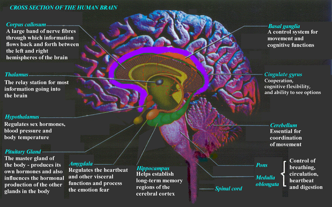 14 Ways to Reduce Anxiety Naturally