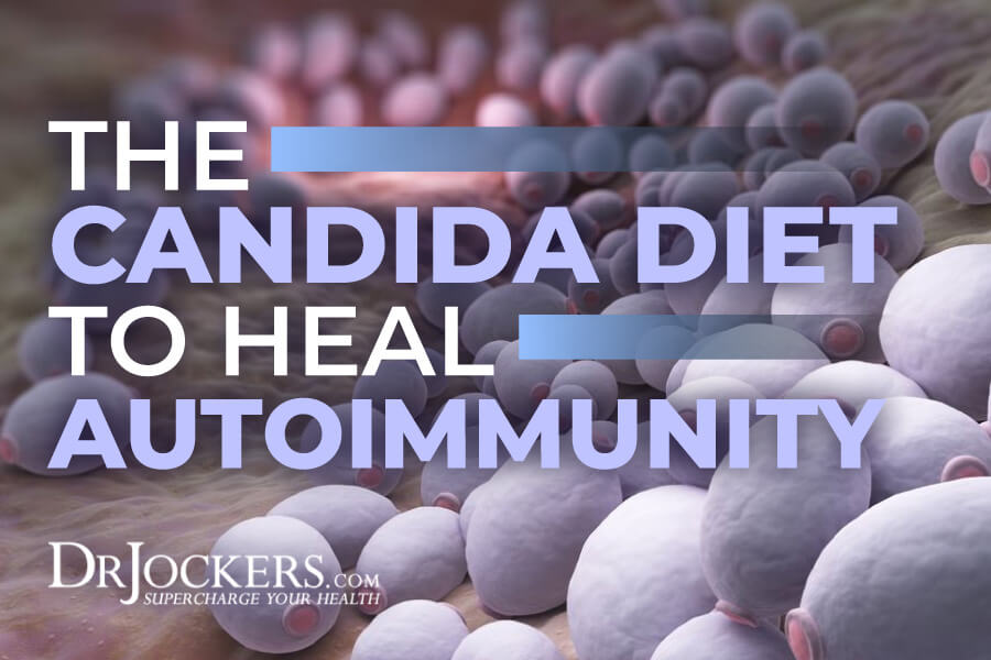 The Candida Diet to Heal Autoimmunity