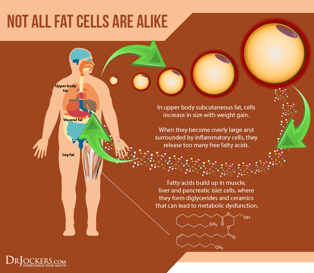 8 Health Benefits of Monk Fruit Sweetener