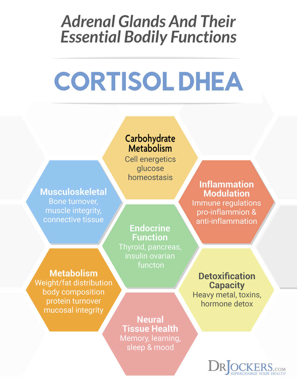 7 Ways To Balance Cortisol Levels