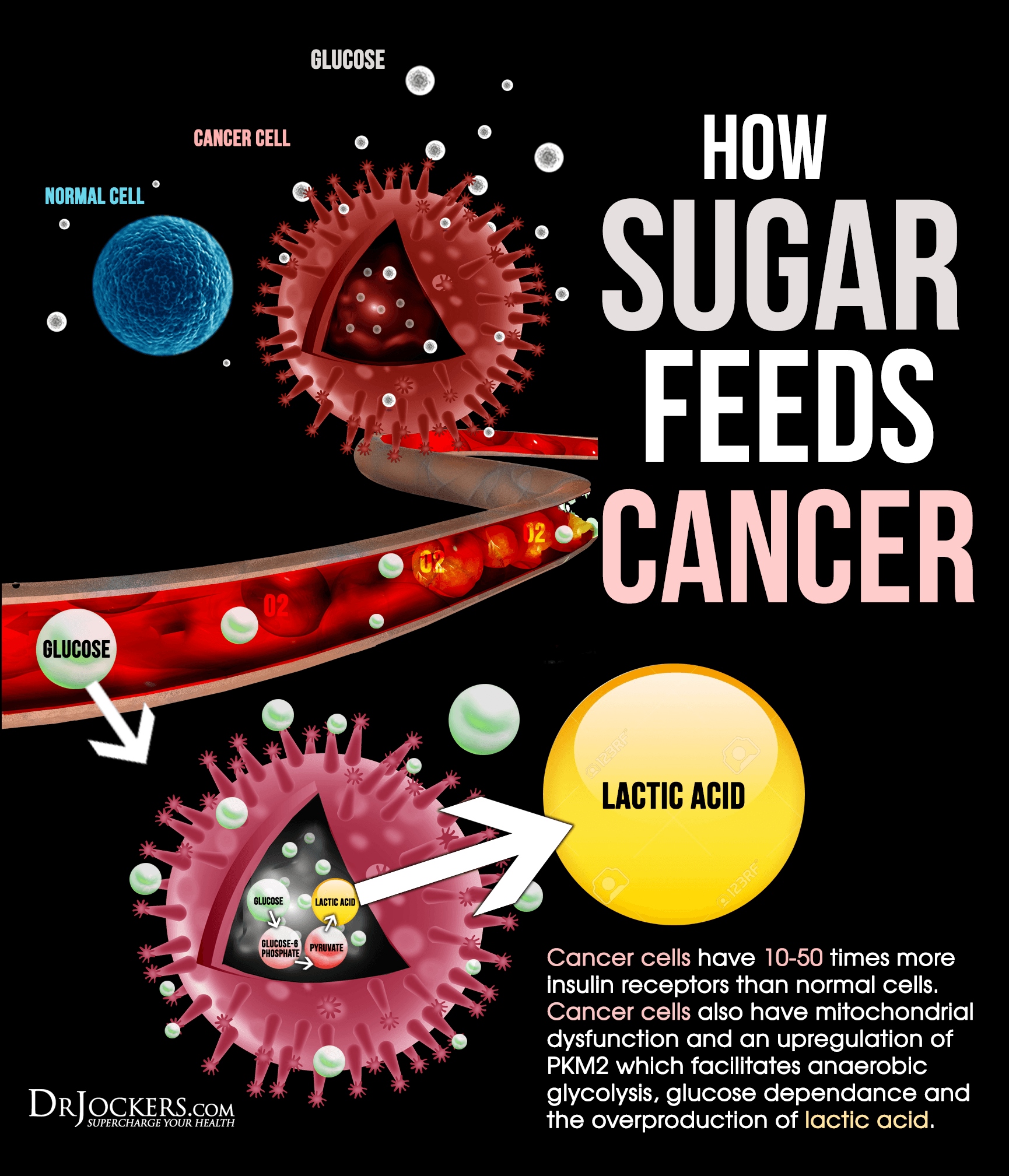 The Diet That Destroys Cancer in the Body