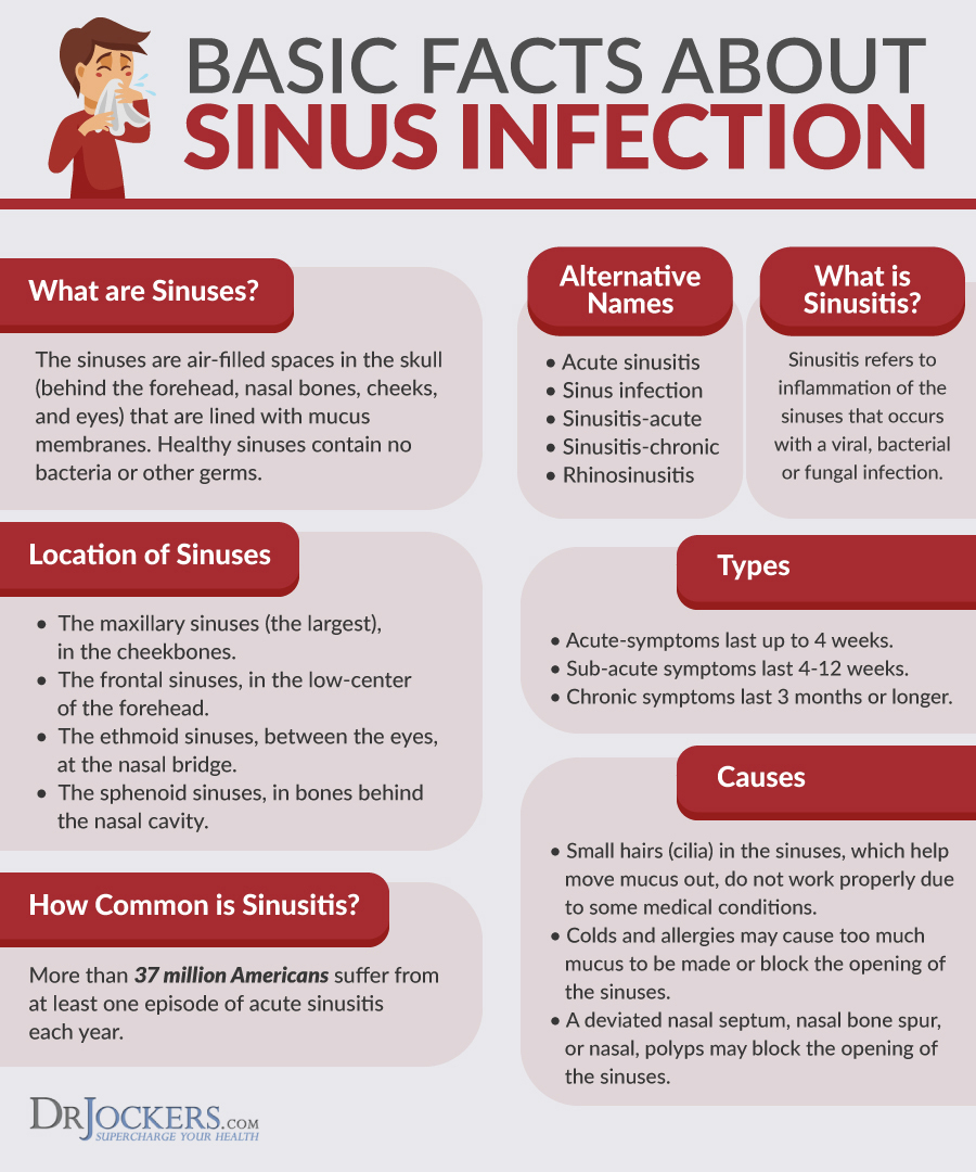 Sinus Infections Causes, Symptoms & Natural Support Strategies