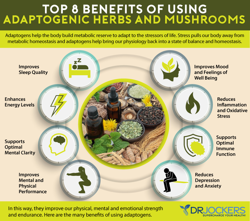 Top 5 Adaptogens for Stress Reduction