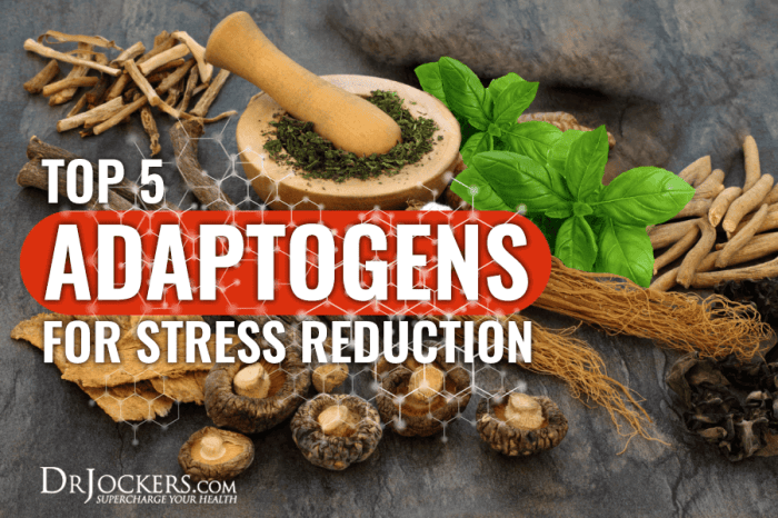 Top 5 Adaptogens for Stress Reduction - DrJockers.com
