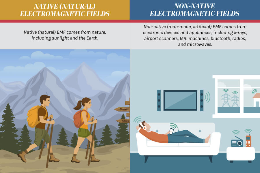 Harmoni Pendant Review Personal EMF Protection