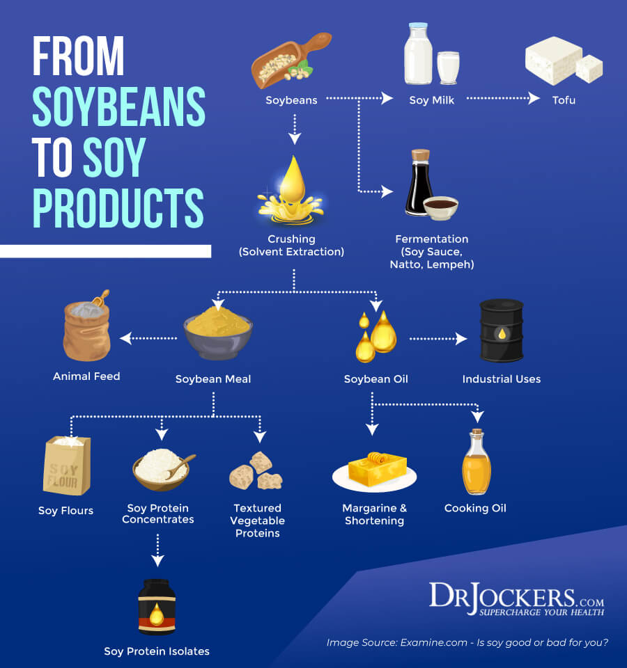Is Soy a Healthy Food or It is Bad for You?