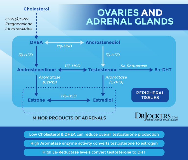 DUTCH Test Analyzing Hormone Levels for Optimal Health