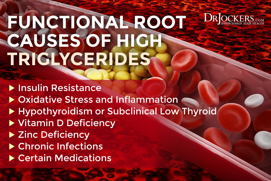 High Triglycerides Root Causes and Natural Support Strategies