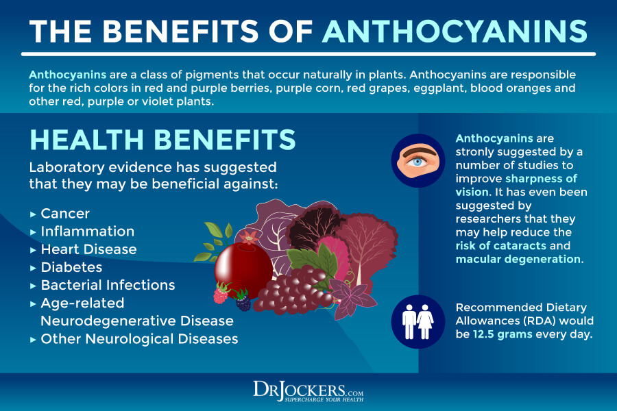 Phytonutrients What Are They, Benefits and Sources