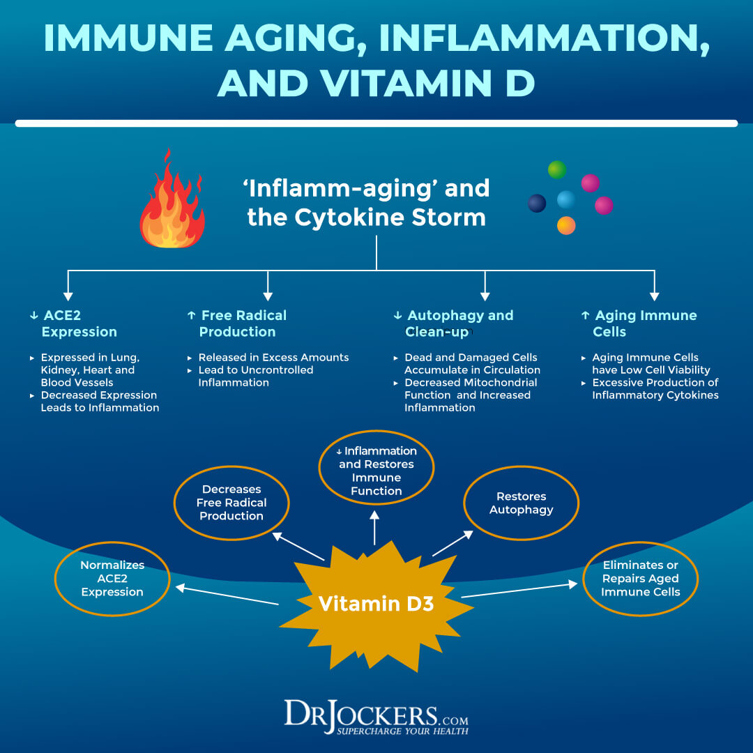 How Vitamin D Protects Against Respiratory Infections