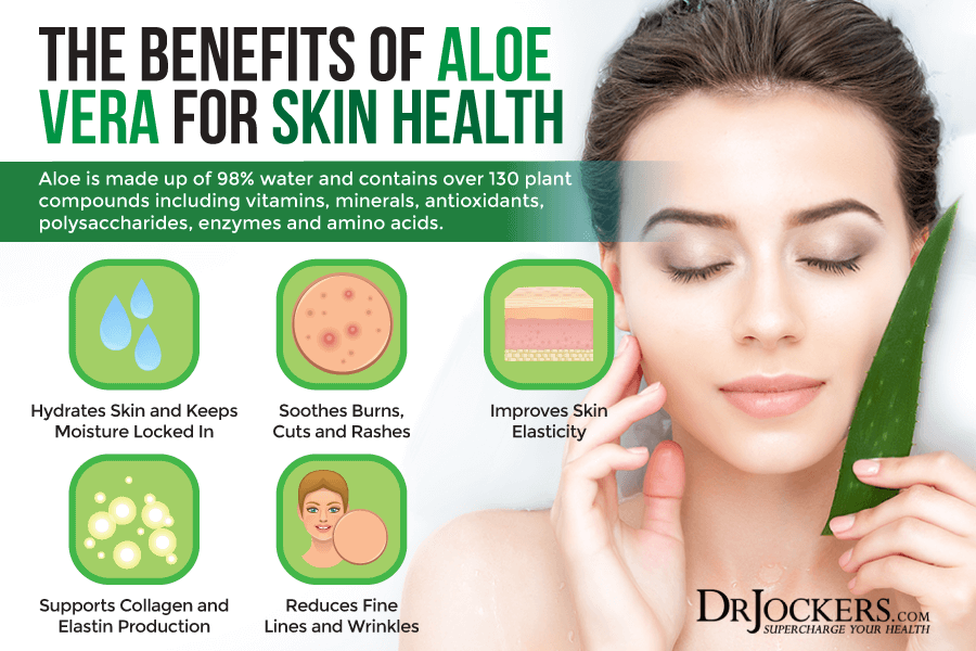 6 Benefits Of Aloe + 5 Uses For The Skin