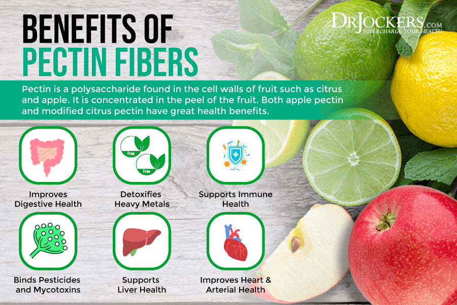 Top 12 Nutrients and Herbs to Heal a Leaky Gut Lining