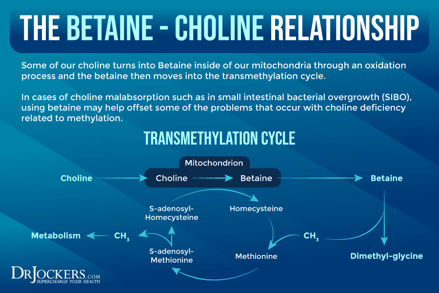 Choline Signs of Deficiency, Benefits, and Food Sources