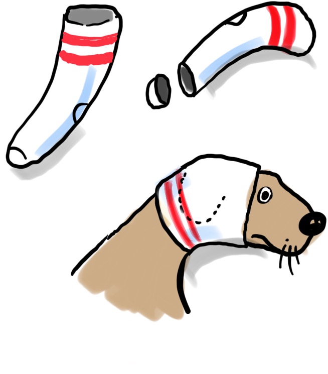 Socking a dog’s head Dr Erik Johnson Veterinarian