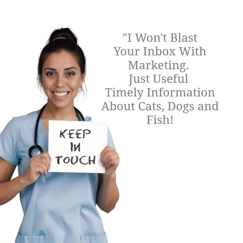 tritrichomonas Dr Erik Johnson Veterinarian