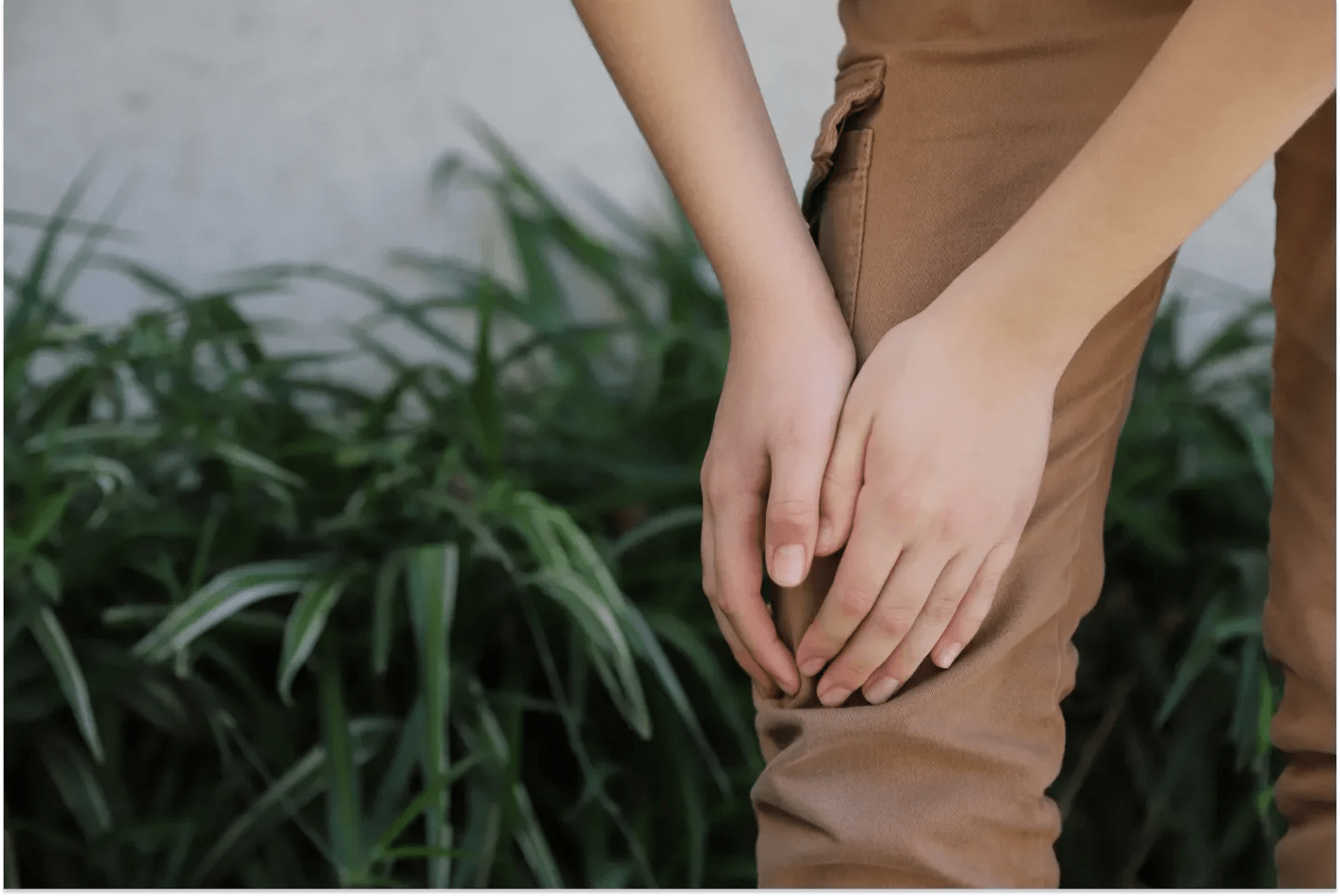 10 Top Foods for Joint Health Dr. Kellyann