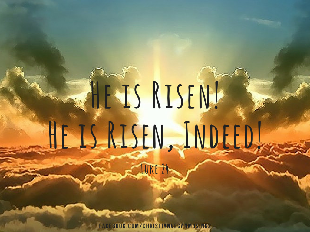 Uncategorized Dr. J's Apothecary Shoppe