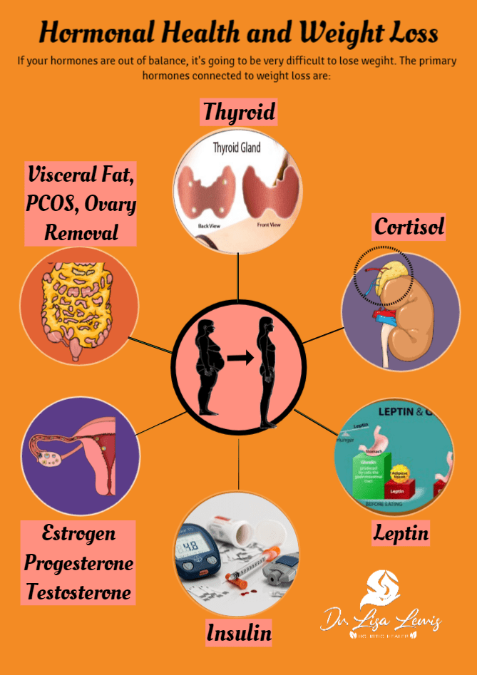 Hormonal Health and Weight Loss Explained Dr. Lisa Lewis