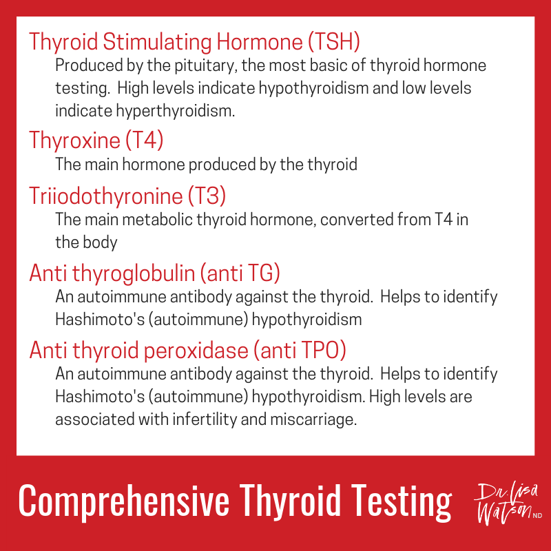 Thyroid Health in Perimenopause Dr. Lisa Watson