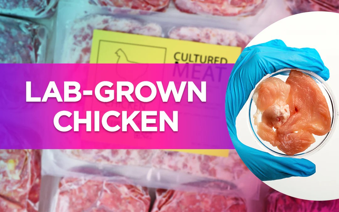 LabGrown Chicken Dr. Livingood