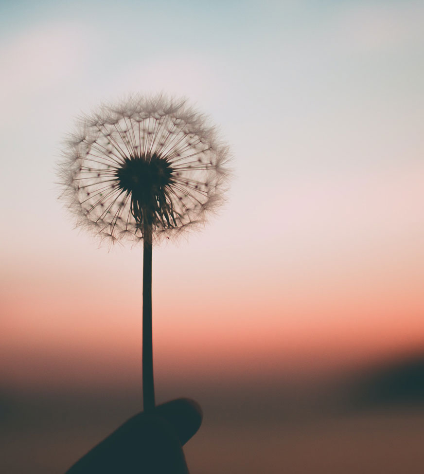 Dr. Lori Gray, Ph.D. Mindfulness Meditation Training & Mentoring