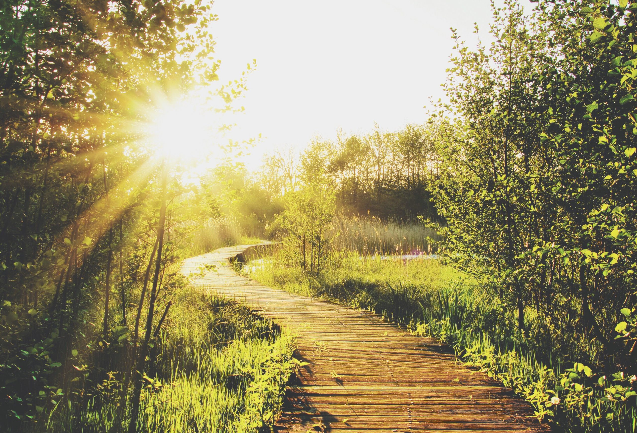 Stroke Recovery Dr. Lori Gray