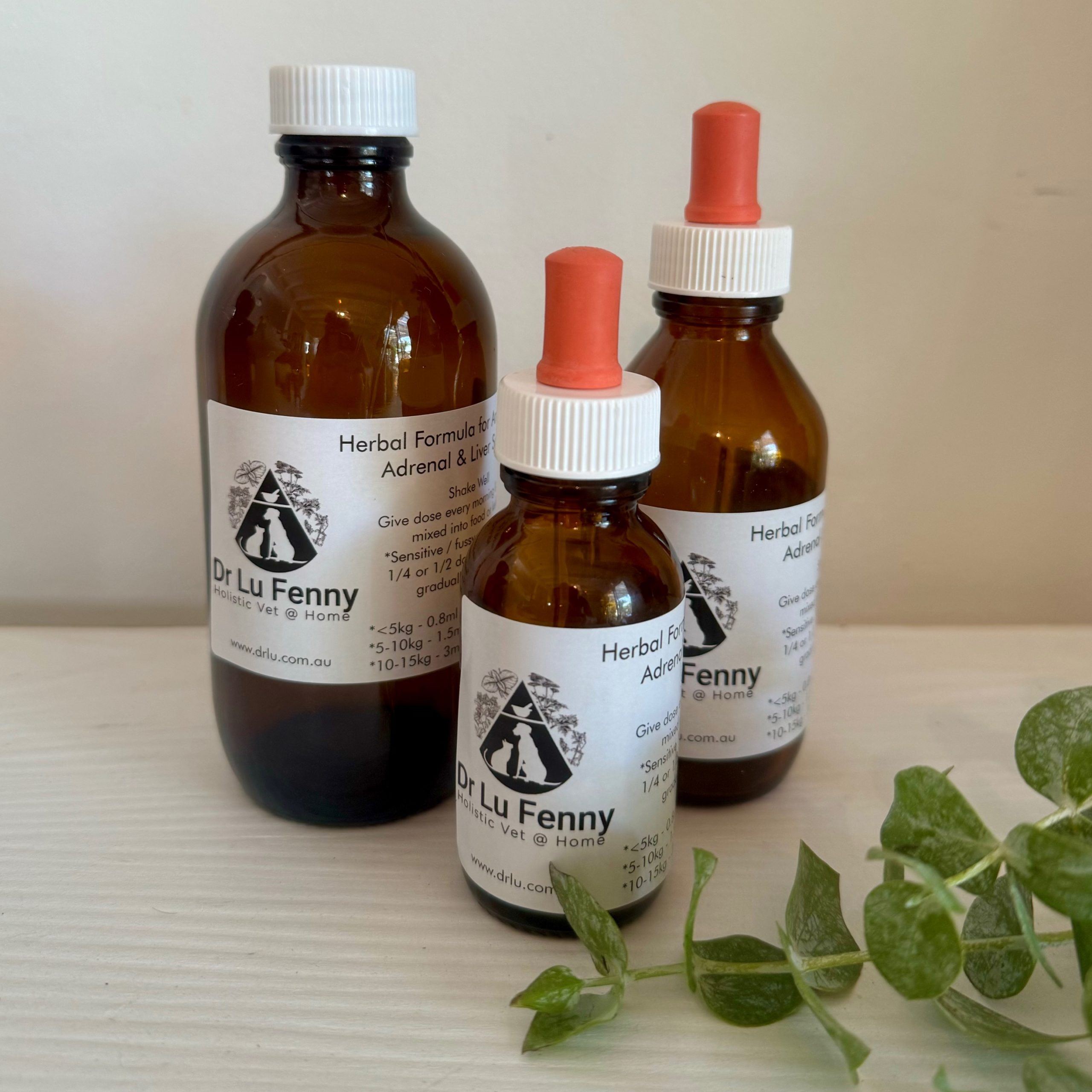 Liver Support Herbal Formula Dr Louisa Fenny