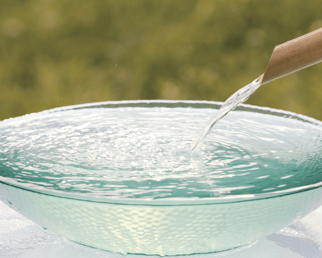 What Type Of Water Is Best For Pets? Dr. Magda